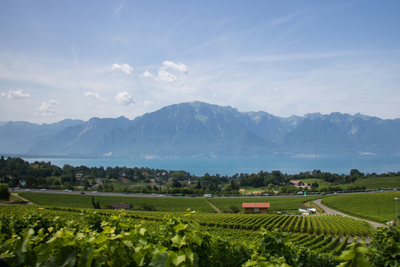 Chillon Castle & Swiss Riviera photo 2