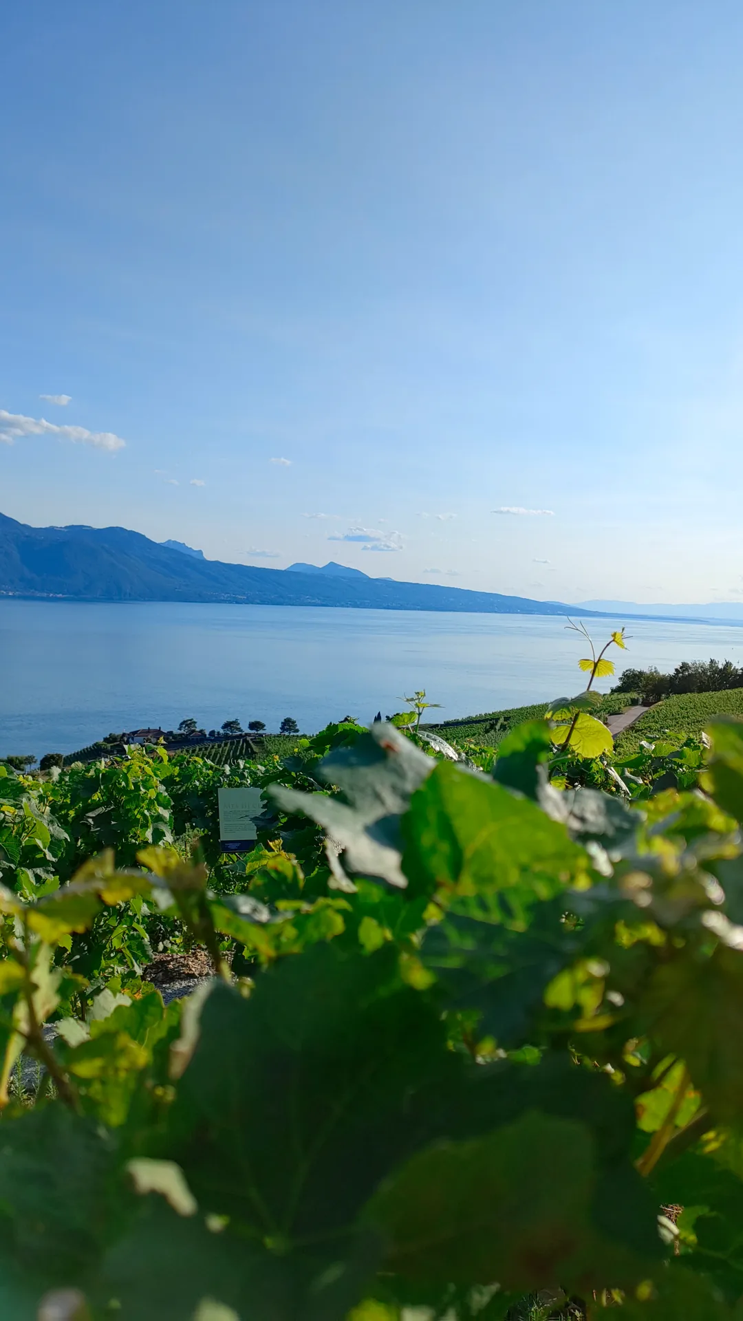 Chillon Castle & Swiss Riviera photo 1