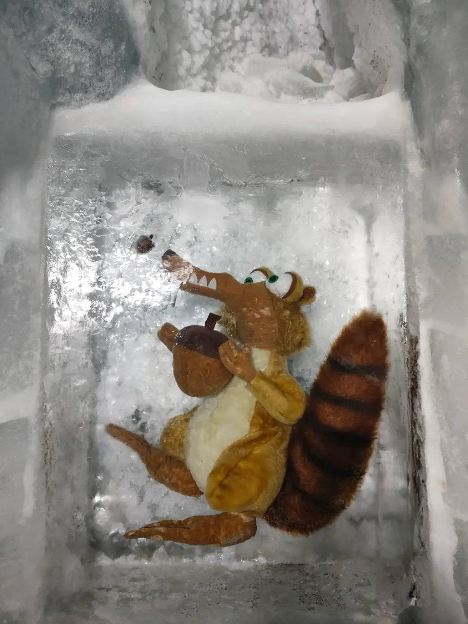 Jungfraujoch + Lauterbrunnen from Zurich photo 5