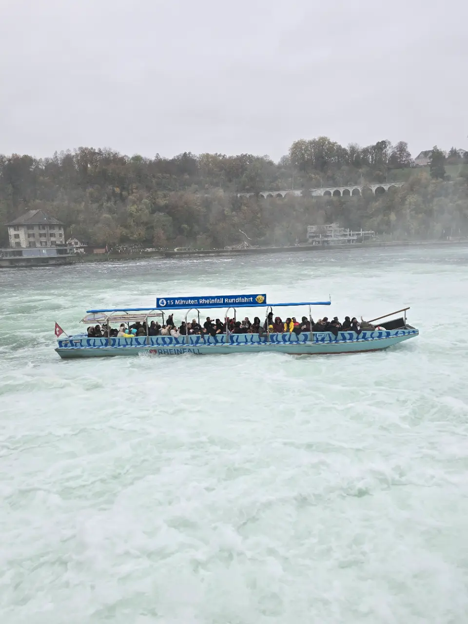 Rhine Falls photo 2